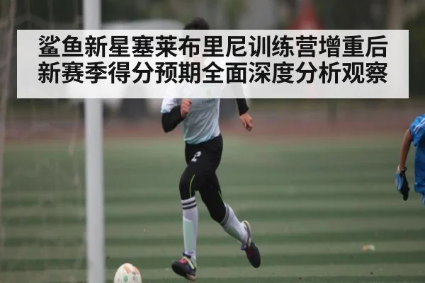 鲨鱼新星塞莱布里尼训练营增重后新赛季得分预期全面深度分析观察