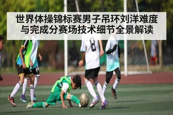 世界体操锦标赛男子吊环刘洋难度与完成分赛场技术细节全景解读