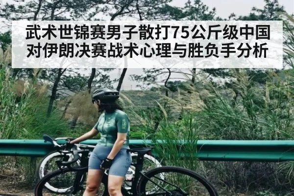 武术世锦赛男子散打75公斤级中国对伊朗决赛战术心理与胜负手分析（NG28）