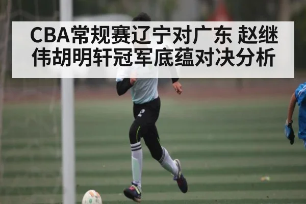 CBA常规赛辽宁对广东 赵继伟胡明轩冠军底蕴对决分析 - NG28